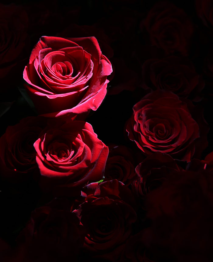 professional photo editing services